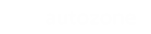 AUTOZONE